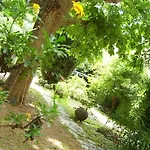 酒店 Le Prado De St Raph 2*