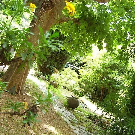 Hotel Le Prado De St Raph 2*